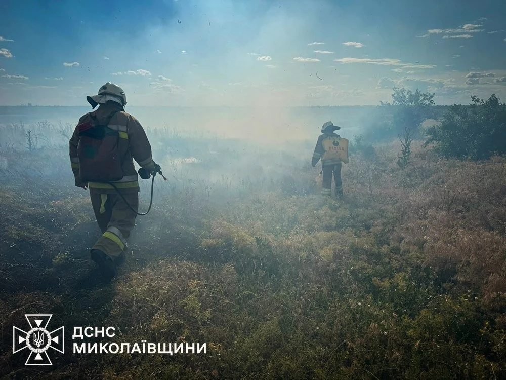 Масштабні займання у Миколаївському районі: пожежники врятували приватні будинки від вогню, але є постраждала