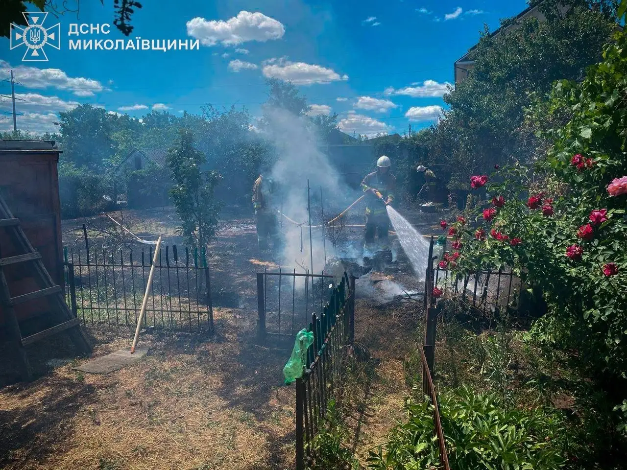 Масштабні займання на Миколаївщині: спека та людська недбалість призвели до смертельної трагедії