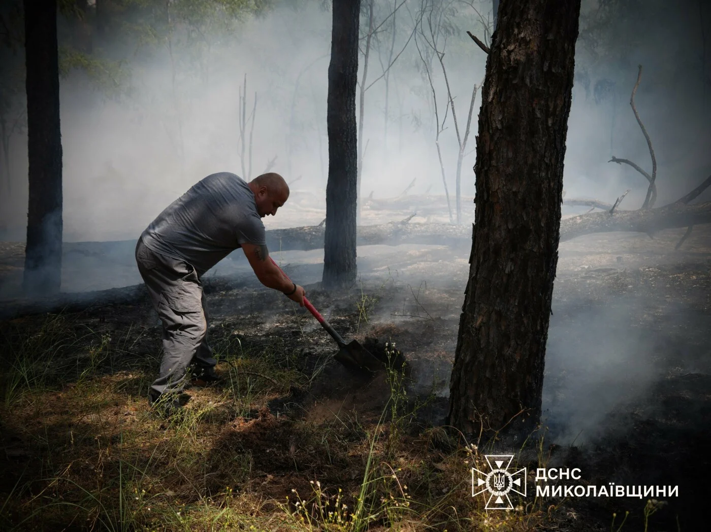 Масштабне лісове займання ліквідували вогнеборці у Миколаєві