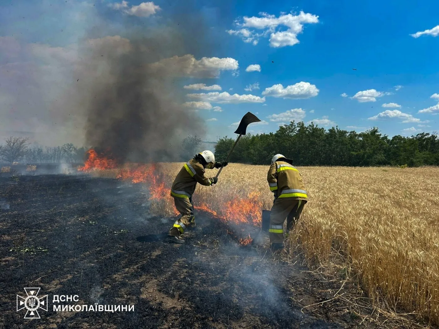 Масштабні пожежі на Миколаївщині: вогонь знищив десятки гектарів пшениці за добу