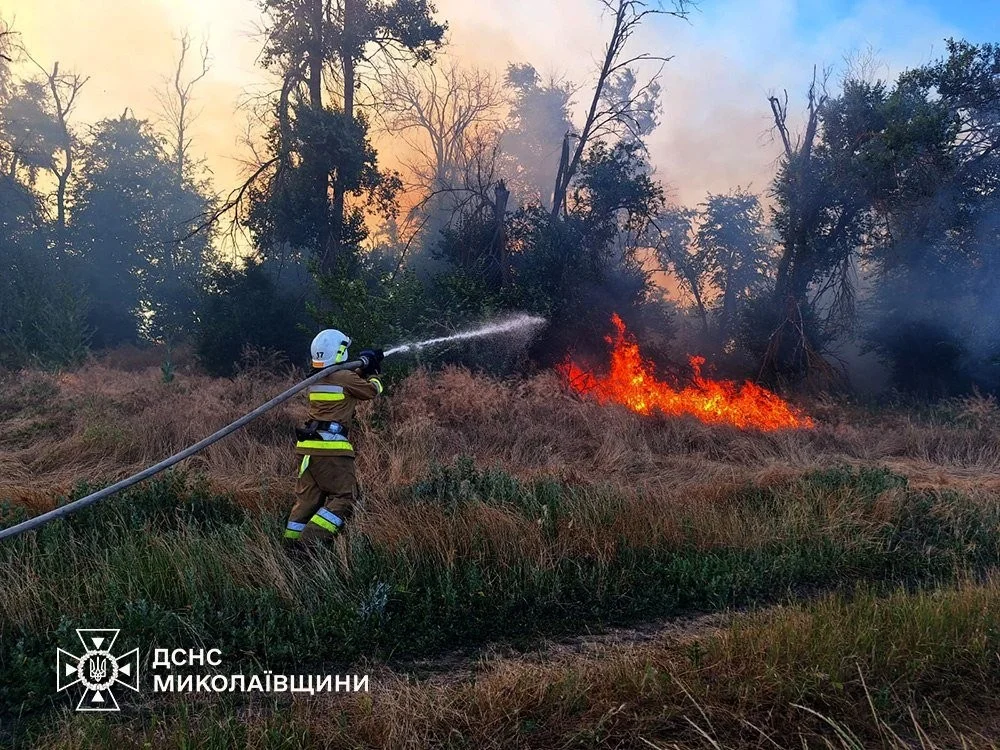 Трагедія у Новій Одесі та спалені поля: ДСНС ліквідувала понад пів сотні пожеж на Миколаївщині