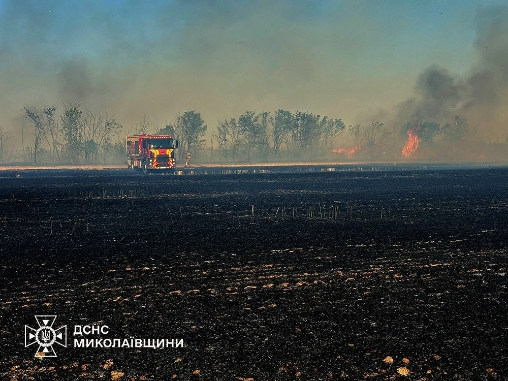 Трагедія у Новій Одесі та спалені поля: ДСНС ліквідувала понад пів сотні пожеж на Миколаївщині