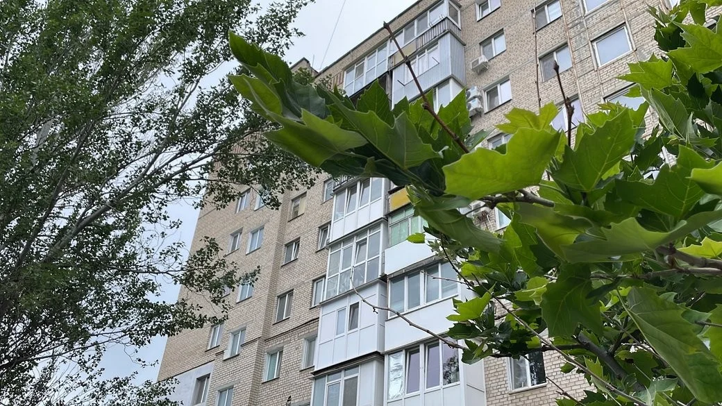 Державна субвенція для ветеранів: понад 70 родин на Миколаївщині купують власні квартири