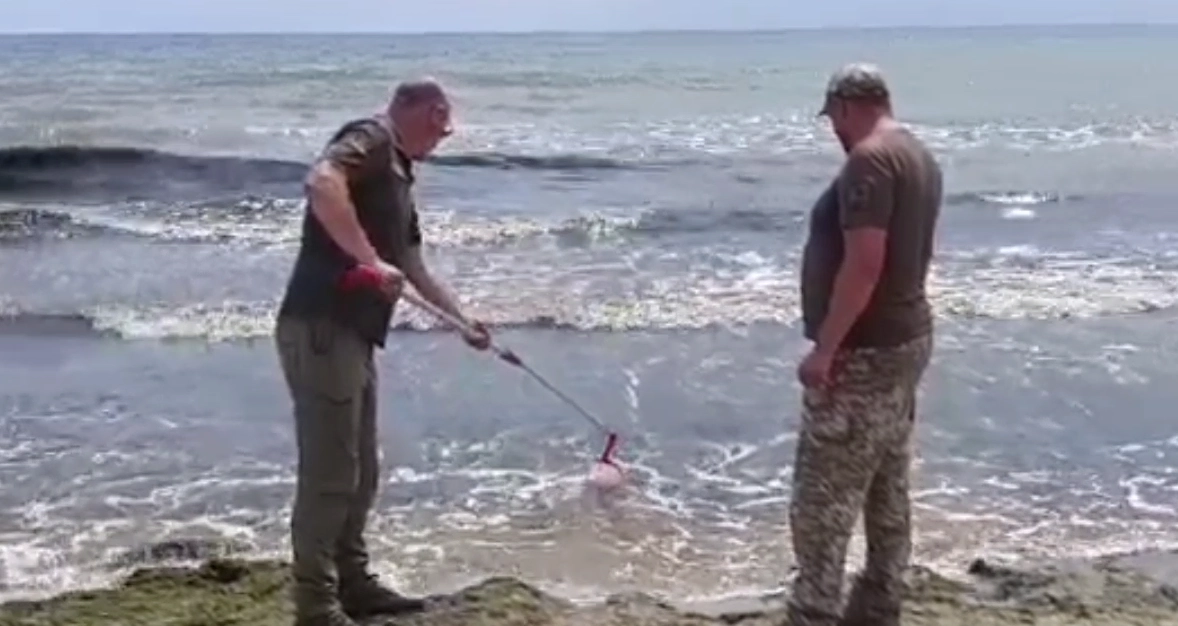 Причини загибелі червонокнижної риби у Коблевому: морська вода виявилася чистою