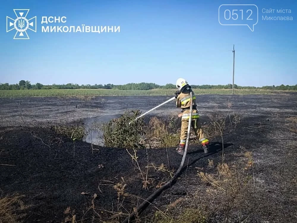 Масштабні пожежі на Миколаївщині: вогонь нищив урожай пшениці, житло та автомобілі